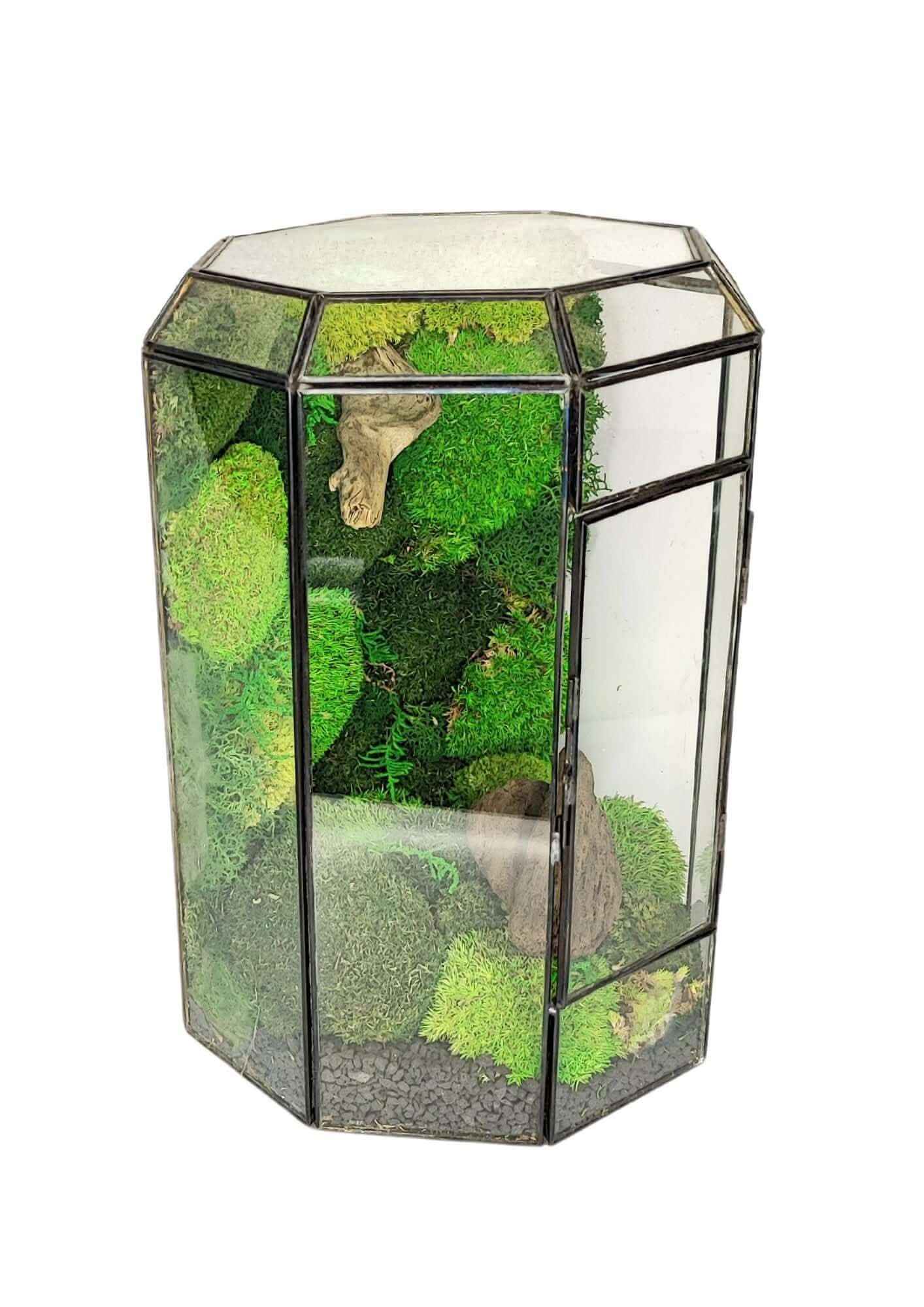 Terrarium geometrico Oasi di Luce 2TR069 - Nootje store