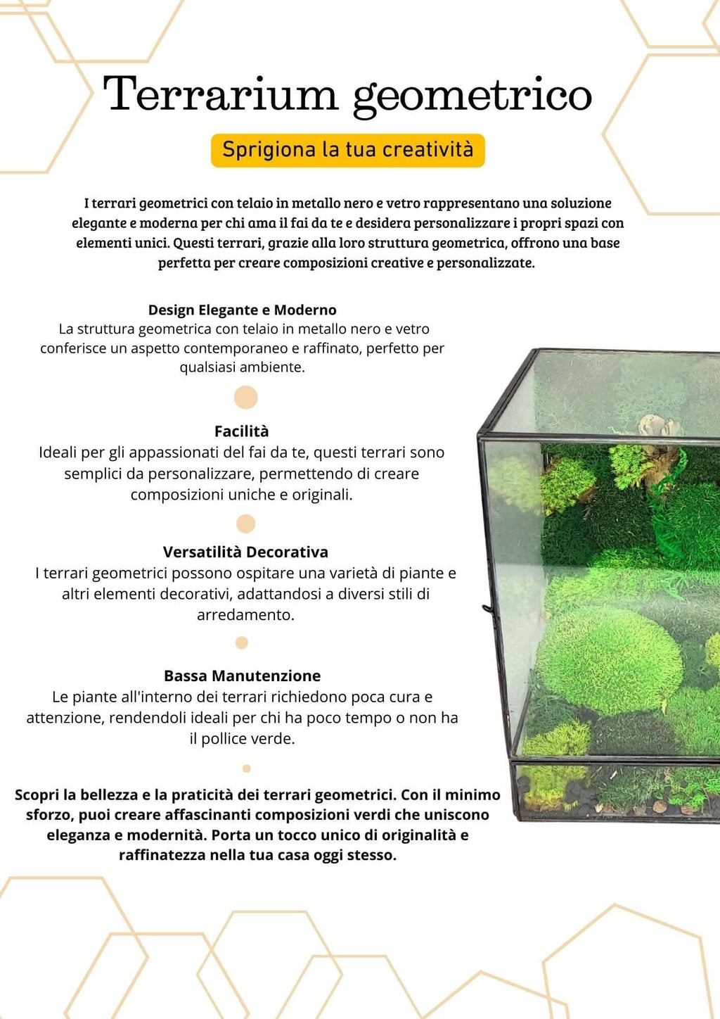 Terrarium geometrico Paradiso Naturale 2TR076 - Nootje store