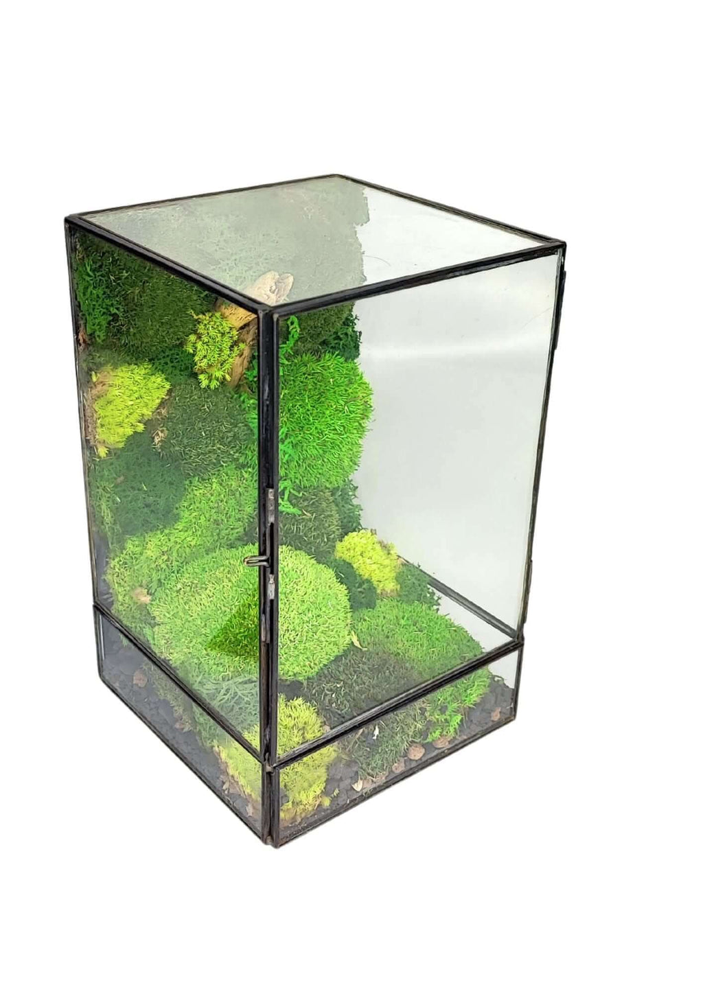 Terrarium geometrico Paradiso Naturale 2TR076 - Nootje store