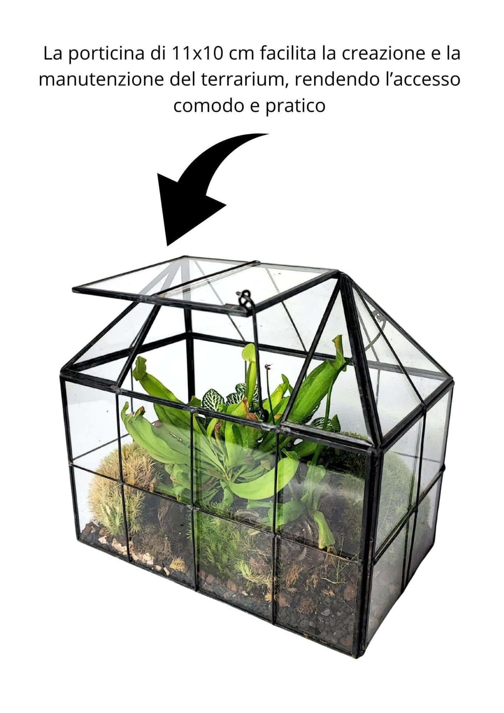 Terrarium geometrico Scrigno della Natura 2TR061 - Nootje store