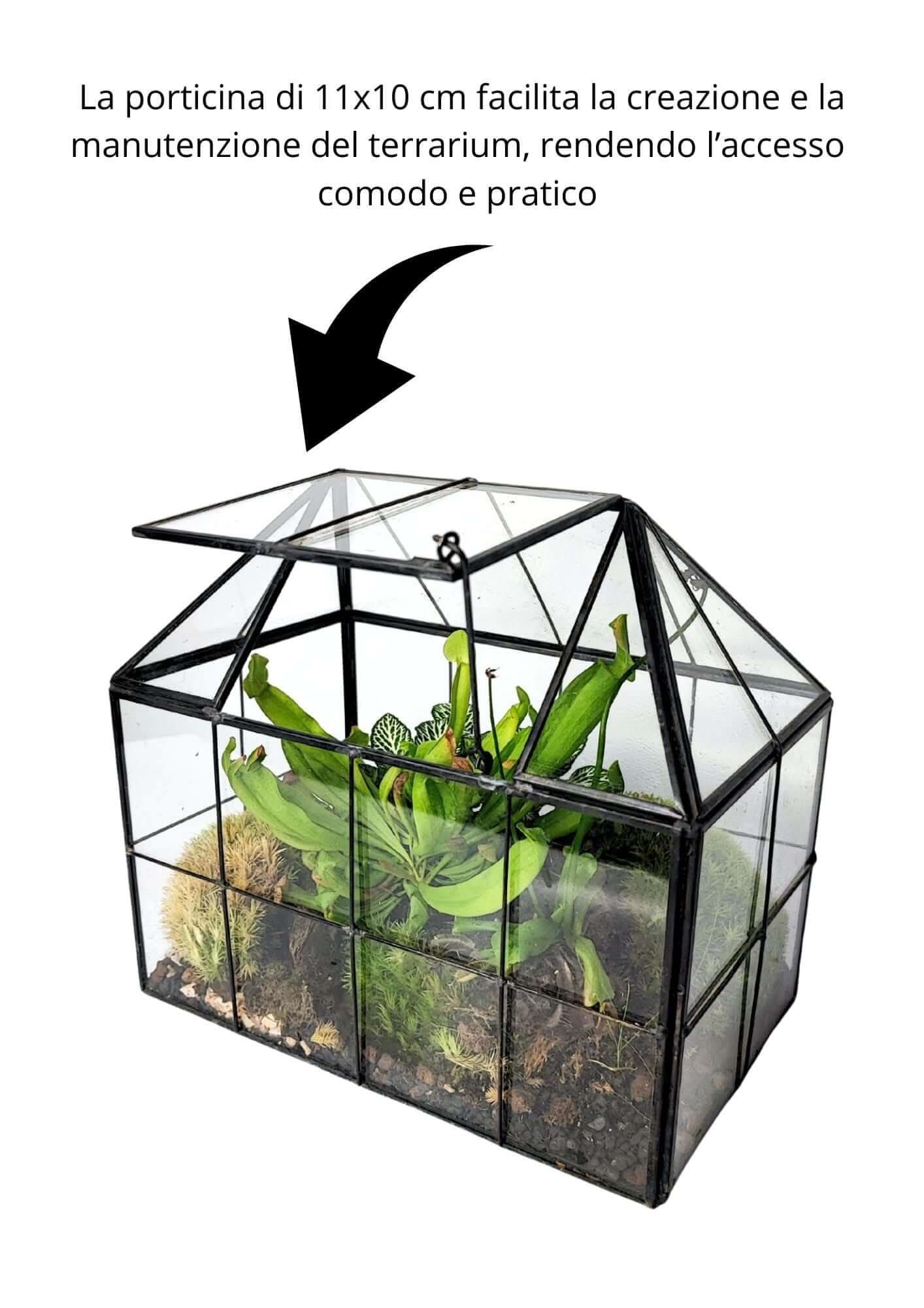 Terrarium geometrico Scrigno della Natura 2TR061 - Nootje store