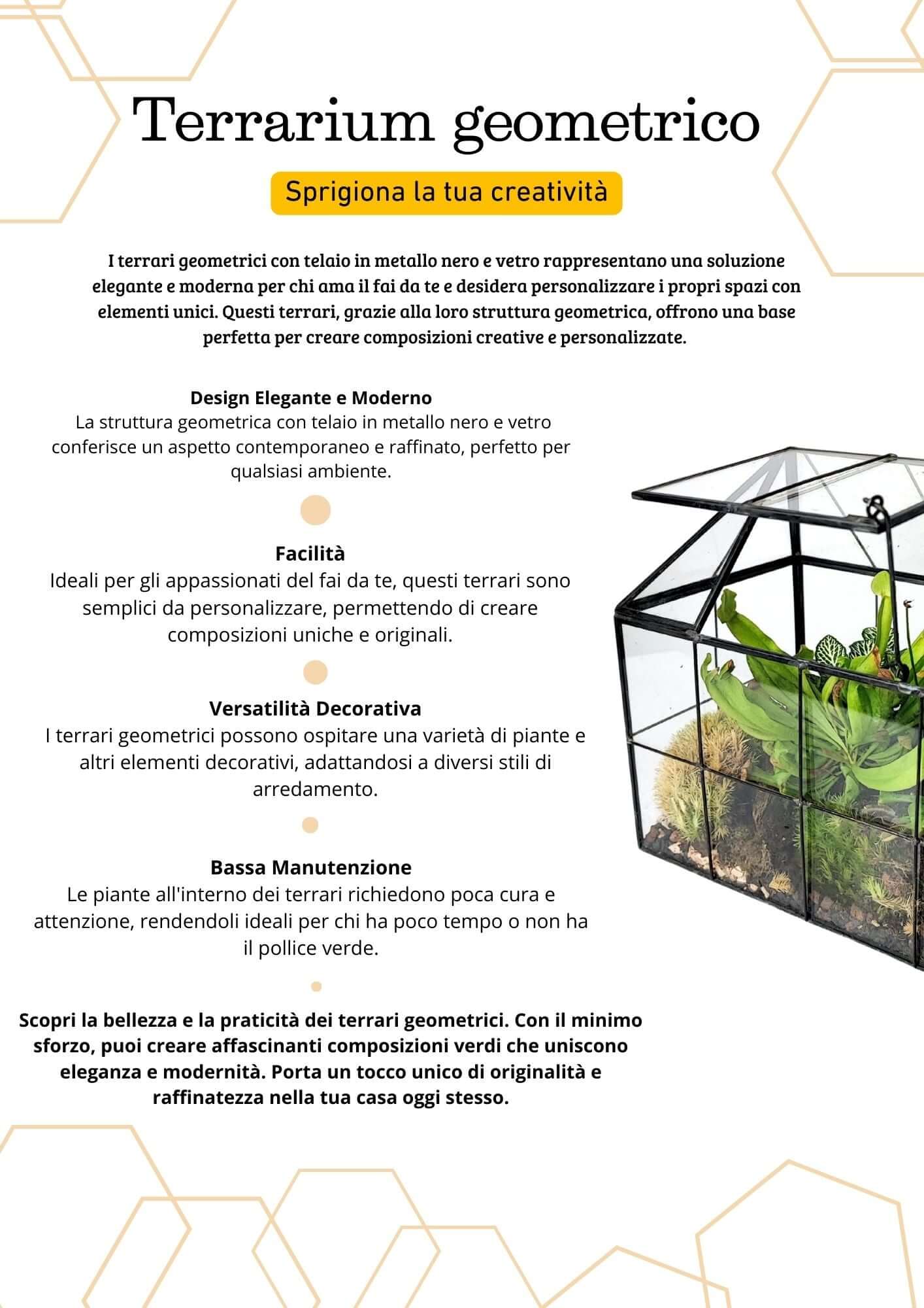 Terrarium geometrico Scrigno della Natura 2TR061 - Nootje store