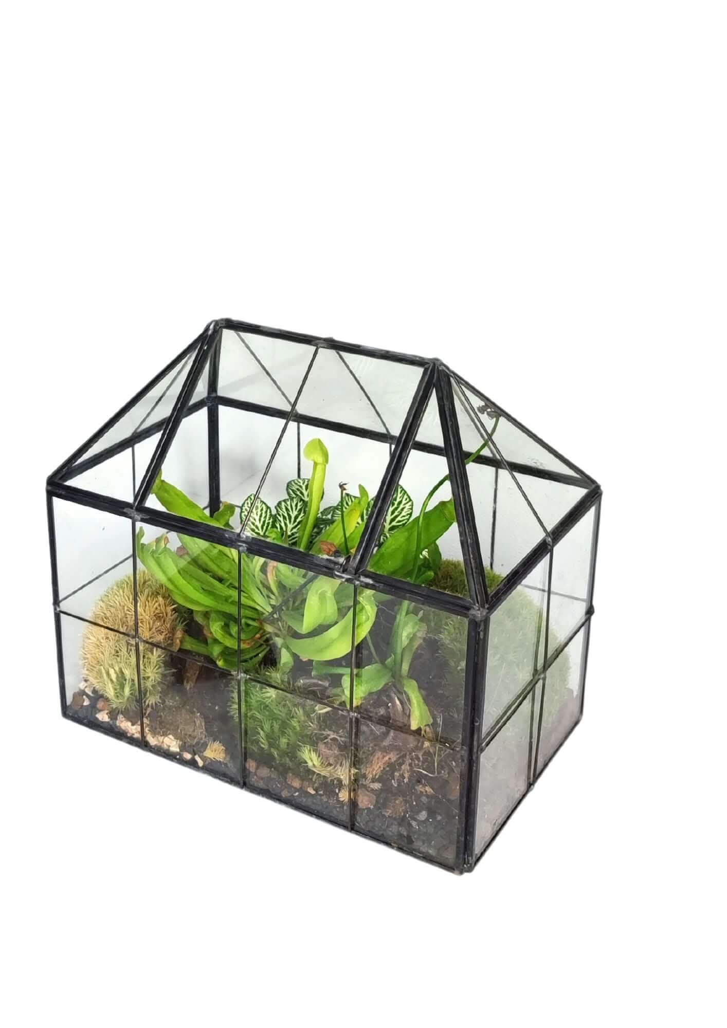 Terrarium geometrico Scrigno della Natura 2TR061 - Nootje store