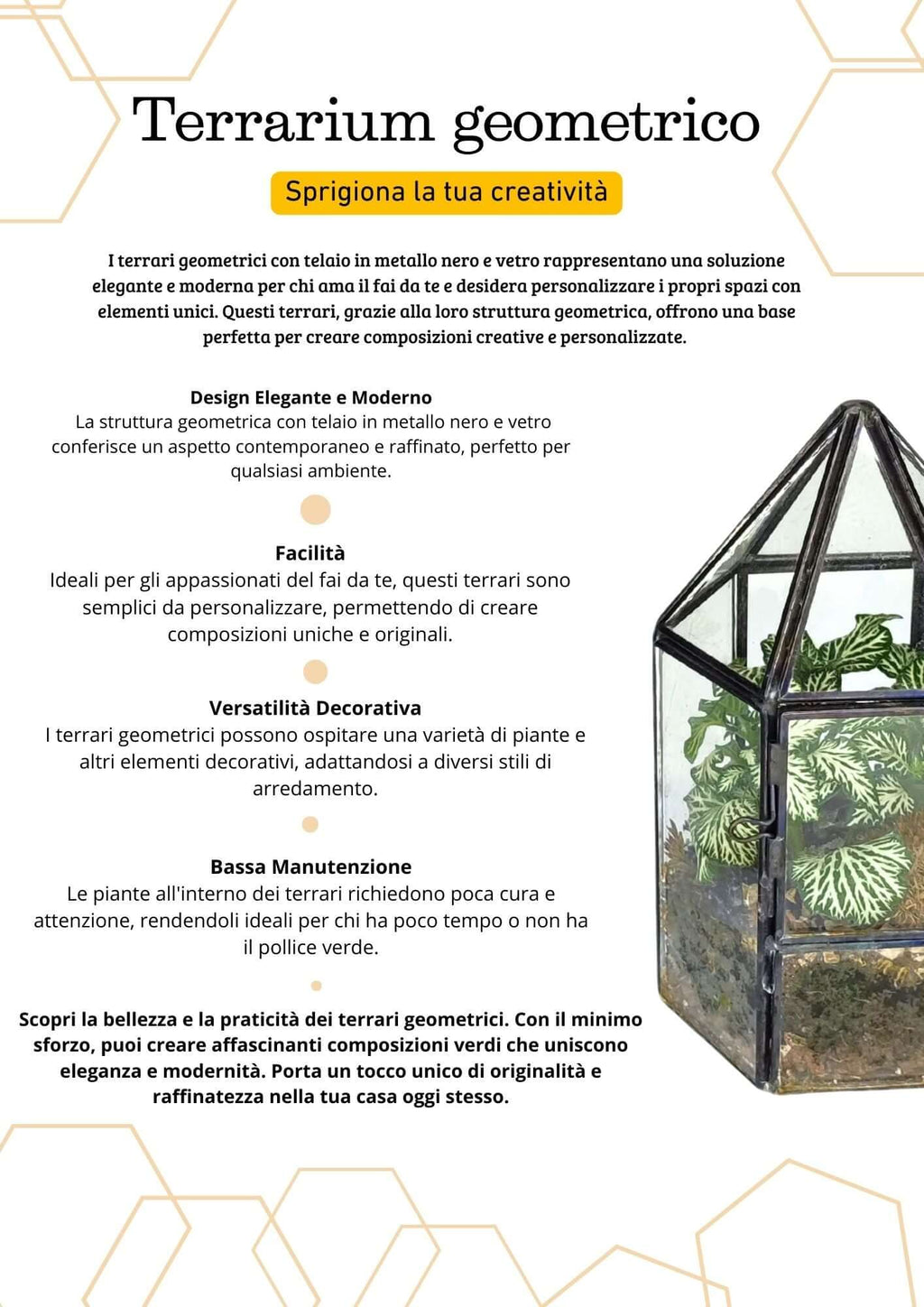 Terrarium geometrico Serra di Cristallo - Nootje store