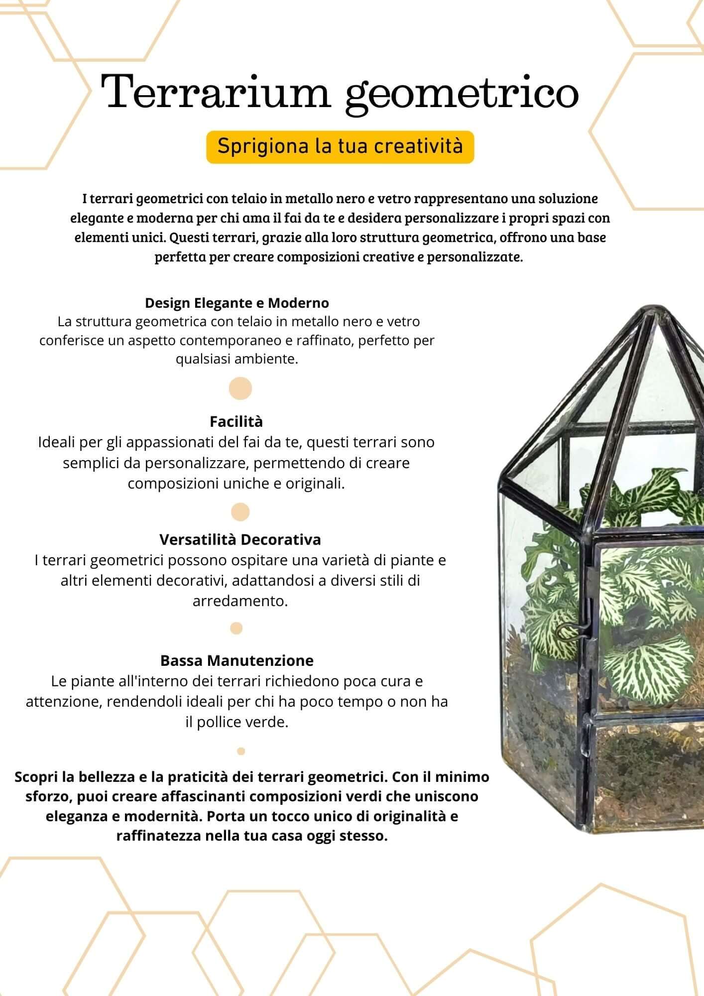 Terrarium geometrico Serra di Cristallo - Nootje store