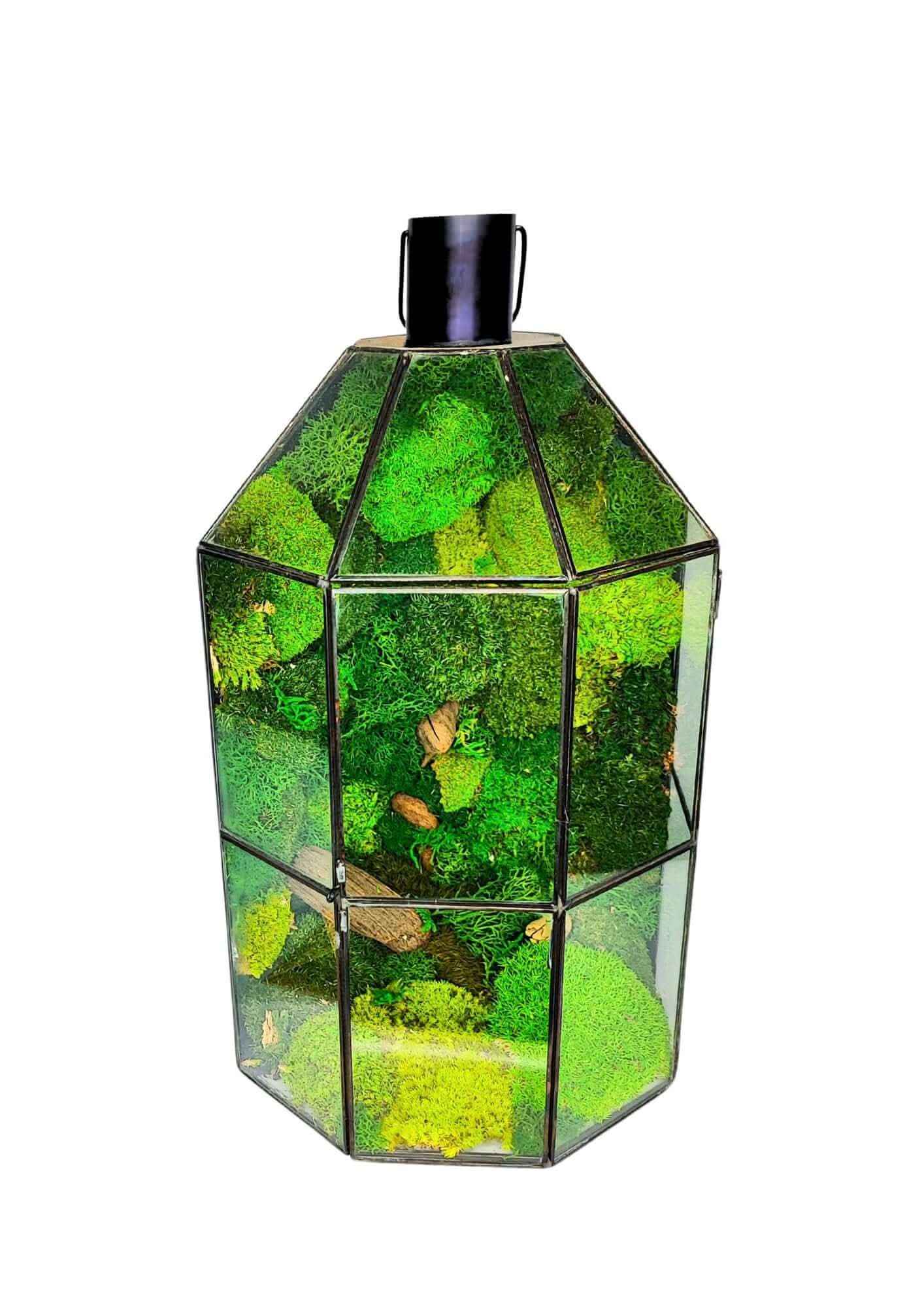 Terrarium geometrico Torre di Vetro 2TR077 - Nootje store