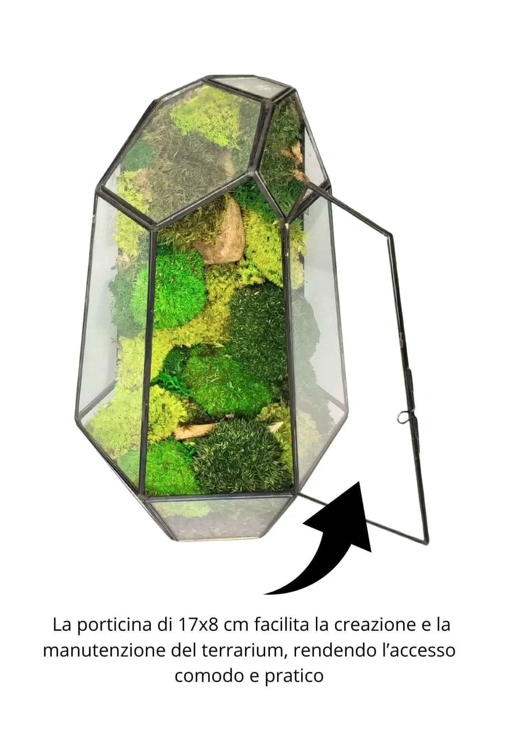 Terrarium geometrico Universo di Vetro 2TR067 - Nootje store