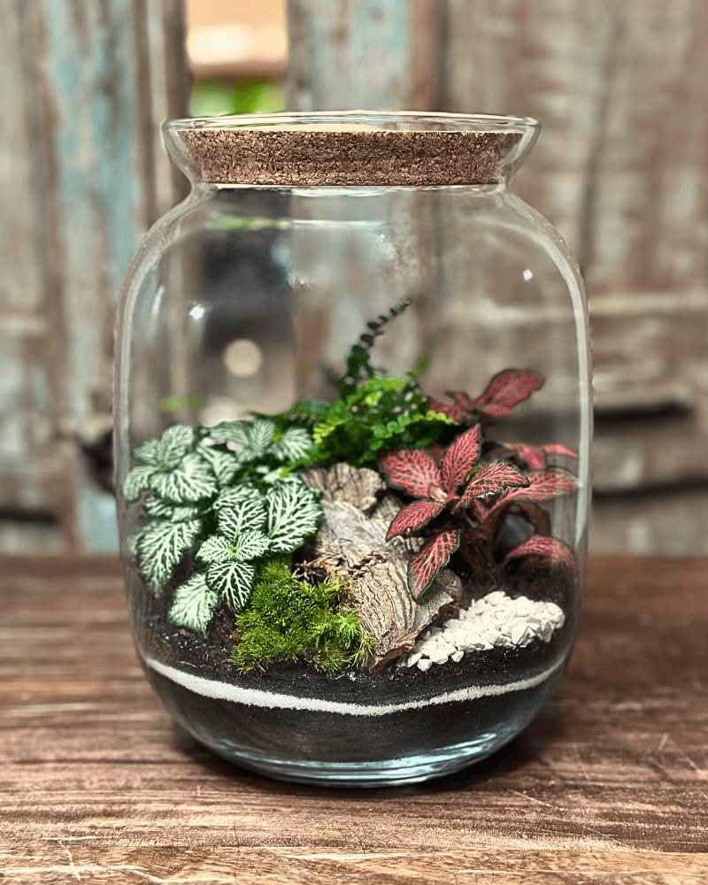 Terrarium Giardino Segreto 049 - Nootje store