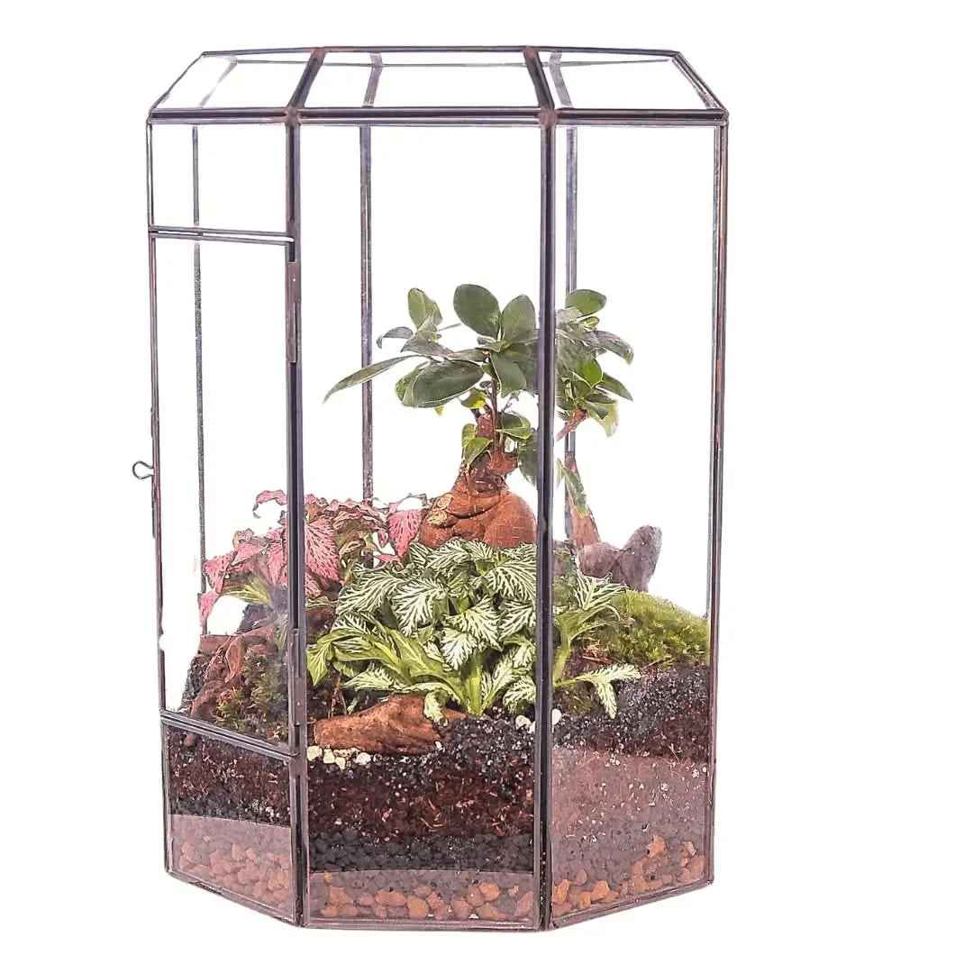 Terrarium Infinito 069V - Nootje store