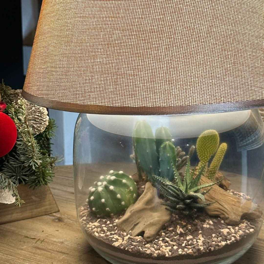 Terrarium Lamparium Martina Cactus