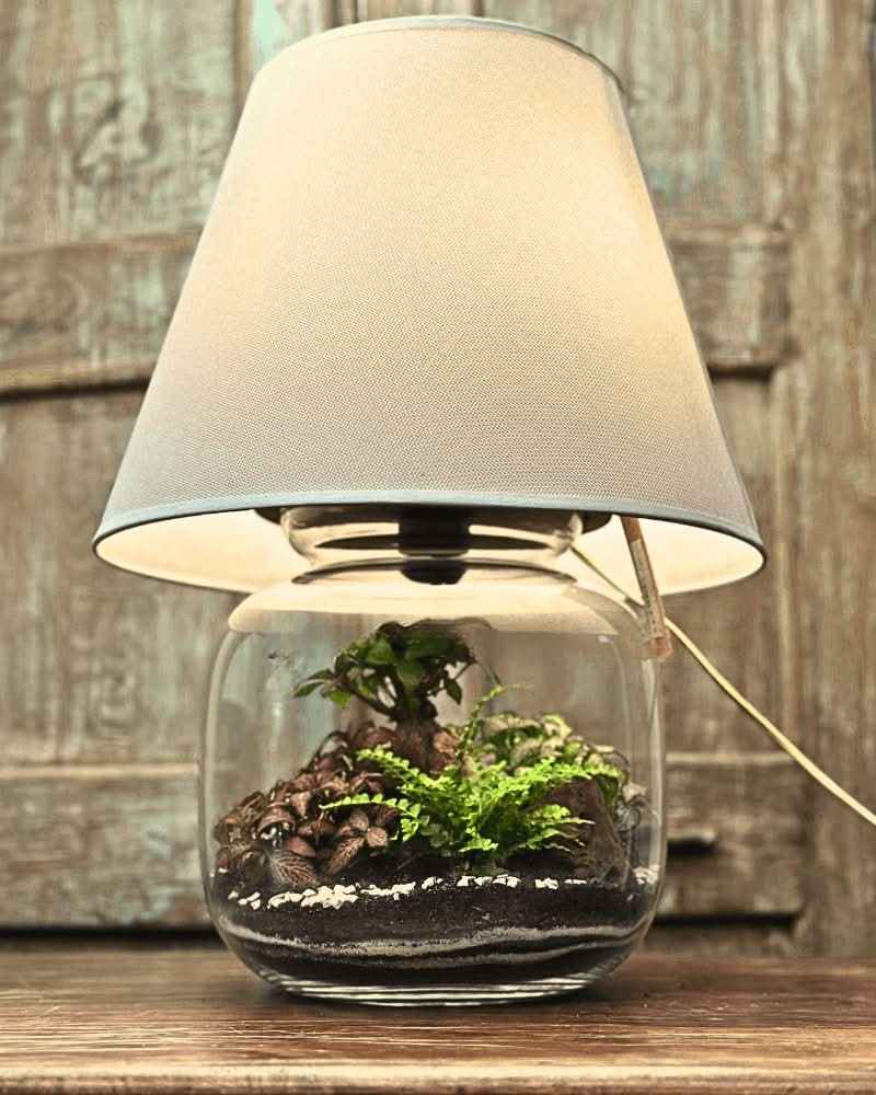 Terrarium Lamparium Martina - Nootje store