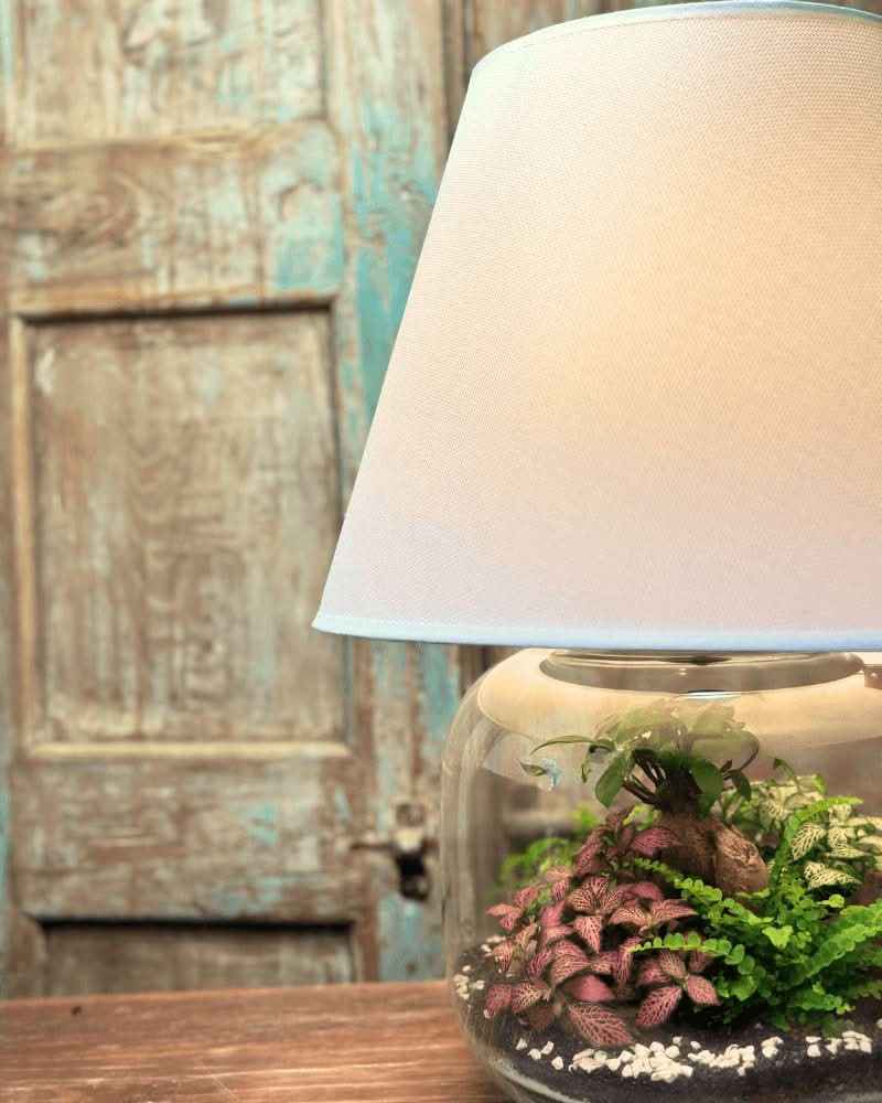 Terrarium Lamparium Martina - Nootje store