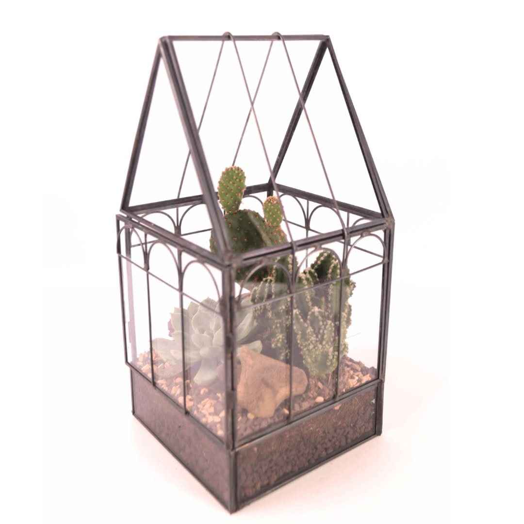 Terrarium Mini Serra Romantica con Piante Grasse 063G