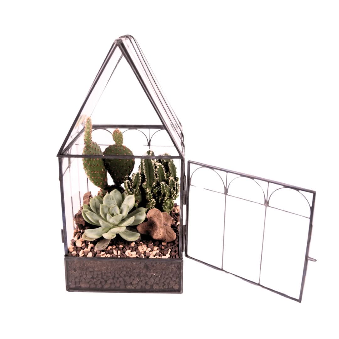 Terrarium Mini Serra Romantica con Piante Grasse 063G - Nootje store