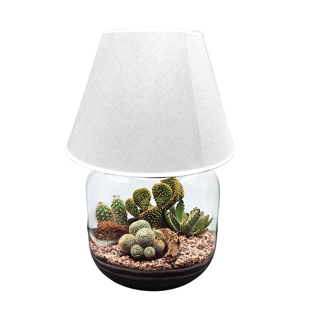 Terrarium Lamparium Martina Cactus