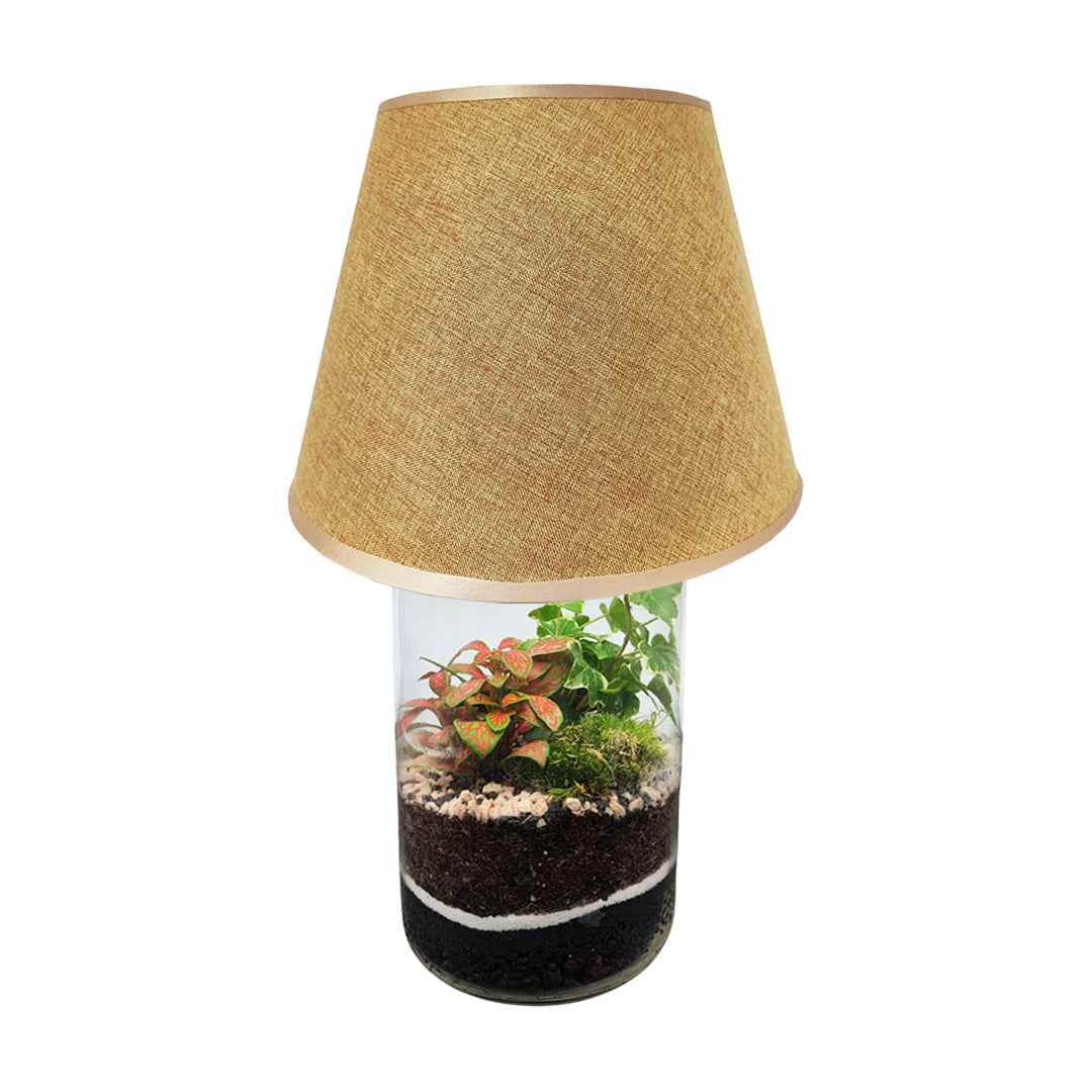 Terrarium Lamparium Aurora - Nootje store
